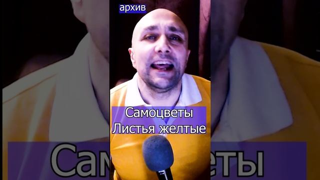 Самоцветы - Листья желтые Клондайс кавер из архива