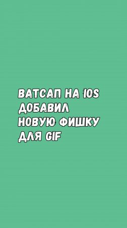 Ватсап На iOS Добавил Новую Фишку Для GIF