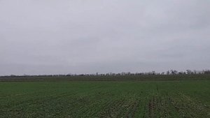 17.12.2020 Пшеница по пшенице 4 год . Шпаловка