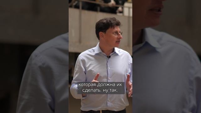 Зачем коровам музыка во время дойки?