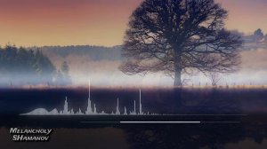 07. Сергей Шаманов - Меланхолия (Альбом "Прибытие")