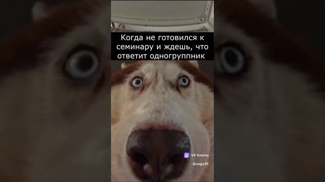 Когда не готовился к семинару и ждешь, что ответит одногруппник...