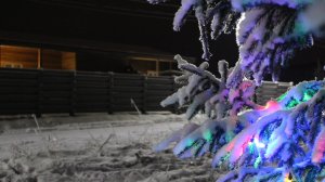 TaunHouse Gnezdo Razdolnaya 104 (1)