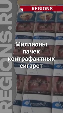 Полиция накрыла крупный склад с контрафактными сигаретами в Подмосковье