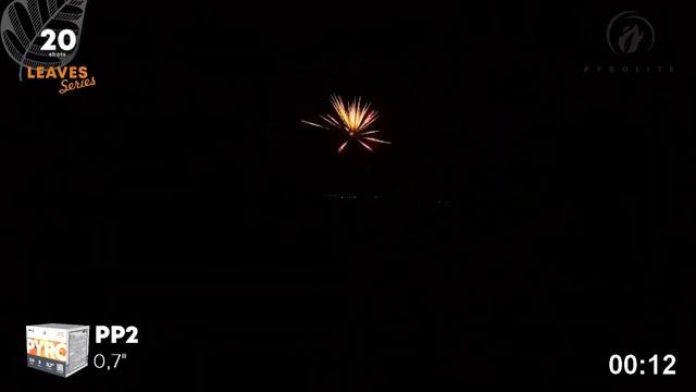 Pyrolite PP2 салют 20 залпов LEAVES Series 2022 #pyrotehnik63