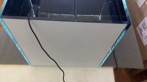 Морской аквариум с боковым сампом 120*45*45 см. Будущий "жесткий риф"