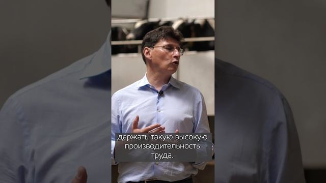 Для чего катать коров на карусели?