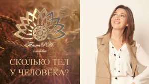 Сколько тел у человека?