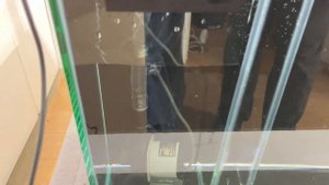 Морской аквариум с боковым сампом 80*40*40 см. Нужно ли осветленное стекло?