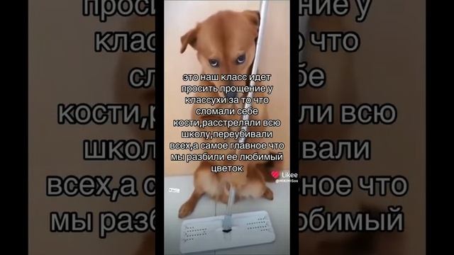 mem