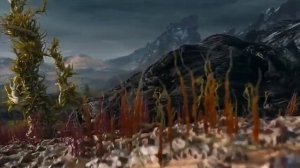 фантастический мир грибов