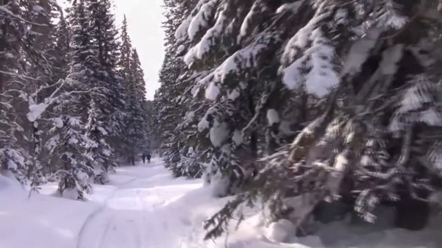 Маленький принц Ночной гость mpg смотреть онлайн