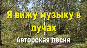 Песня Я ВИЖУ МУЗЫКУ В ЛУЧАХ. Автор стихов, монтаж видео СВЕТЛАНА АВДЕЕВА