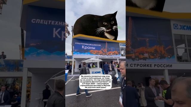 ↔️Даже кот Максвелл ходит на CTT Expo, а вы ещё нет. Бесплатный промокод на регистрацию: EXCTT51Y