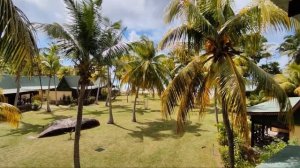 PARADISE SUN HOTEL 4* о. Праслин, Сейшелы! Тропический рай!