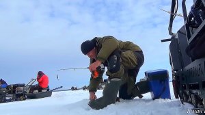 ВЕСЬ ДЕНЬ ЖДАЛИ ЭТОЙ РАЗДАЧИ! А ПОД ВЕЧЕР БЫЛ ХАПОК СУДАКА