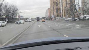 подарили котенка
