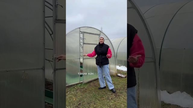 Двери теплицы зимой. Держать открытыми или закрывать?