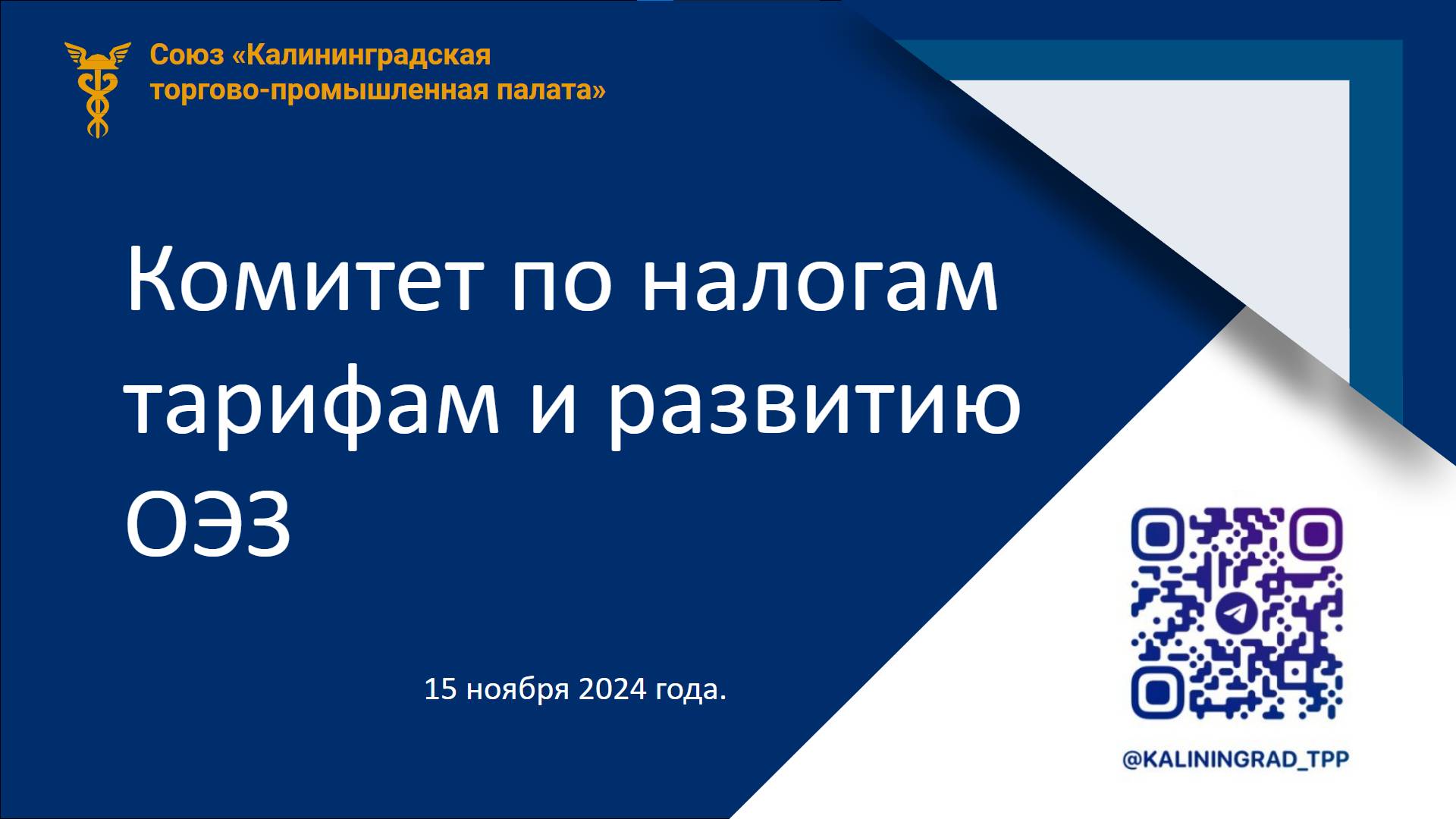 151124Комитет по налогам тарифам и развитию ОЭЗ