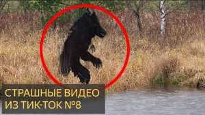 СБОРНИК СТРАШНЫХ ВИДЕО ИЗ ТИК-ТОК №8