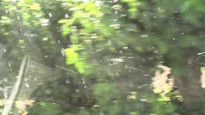 Общий видео дува Шахрисабз 2024