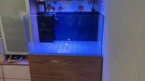 Морской аквариум на внешнем фильтре. Переезд в 250 литров.