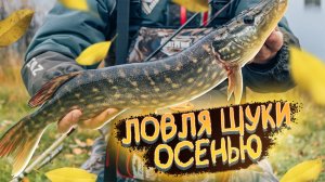 ЛОВЛЯ ЩУКИ В БЕЛАРУСИ! МЫ НЕ ОЖИДАЛИ ТАКОГО КЛЁВА!