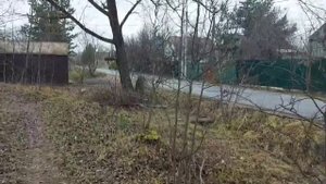 Деревня Берсеневка,
Солнечногорский район,
Московская область.mp4