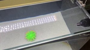 Аквариумы с боковыми сампами. А вам больше нравится пошире или поуже?