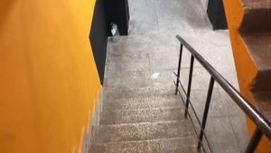 Ленинградская область, г. Сосновый Бор, ул. Ленинградская, д 10