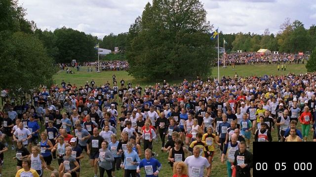 Crowd_run_rec
