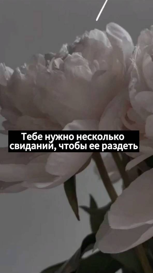 Запишись на электроэпиляцию