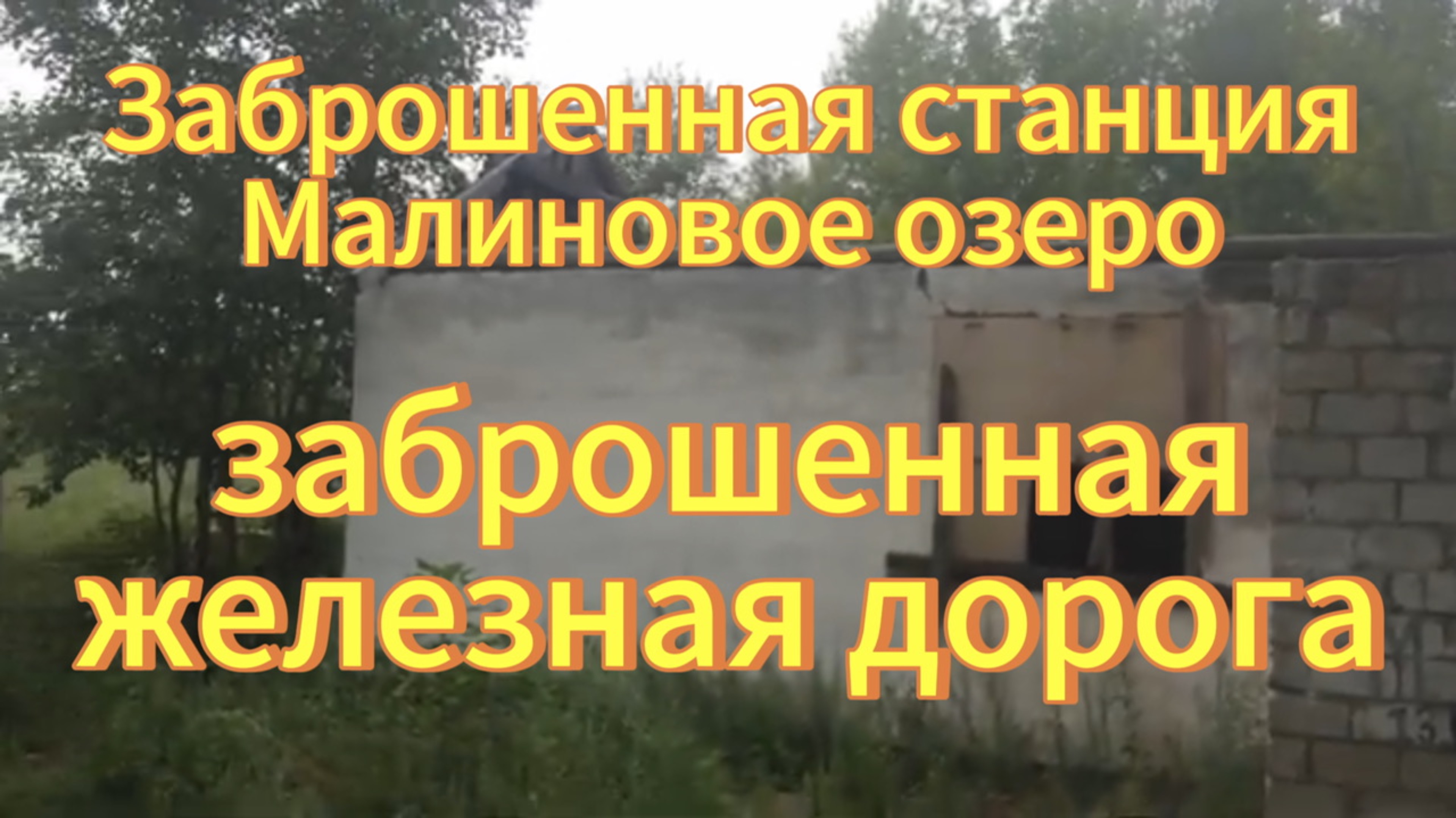 Заброшенная железная дорога. Алтайский край поселок Малиновое озеро. Встреча с индюком и коровами.