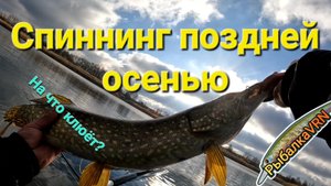 Рыбалка на спиннинг в ноябре 3