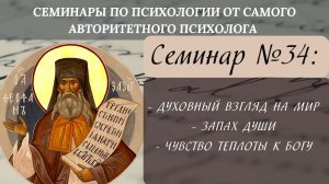 Духовный взгляд на мир, запах души, чувство теплоты к Богу [семинар№34 по святоотеческой психологии]