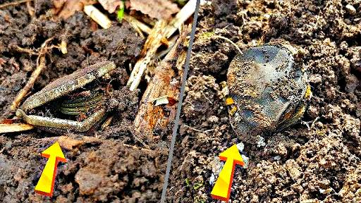 Нашел 2 старинных кошелька - Не пустых и что было внутри смотреть онлайн