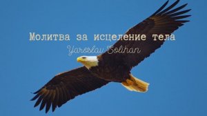 Пропитка молитва за исцеление тела | Yaroslav Solihan