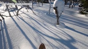 Охота на белую куропатку. В одиночку на зверя