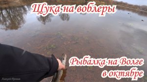 Осенняя рыбалка на щуку на Волге. Ловля щуки на воблеры