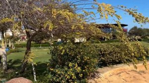 4K Palm Royale Resort Soma Bay 5* , Отзыв, пляж, туры в Хургаду, Египет.