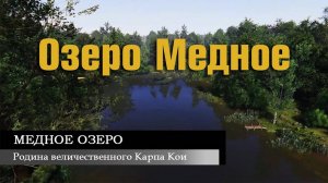 Пошел проверить клев на Медном в Повышенную температуру и поймал 2 трофея. Русская Рыбалка 4