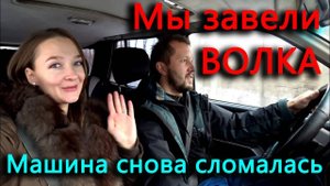 Мы завели Волка! Опять сломалась машина!
