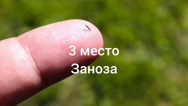 Топ 5 крутых вещей