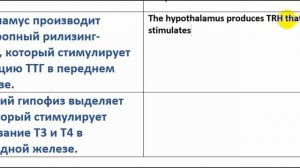 Медицинский английский. Щитовидная железа. Часть 2