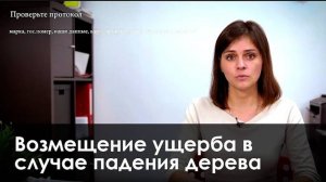 Возмещение ущерба в результате падения дерева