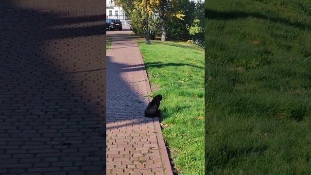 1 ноября 2024 г.
