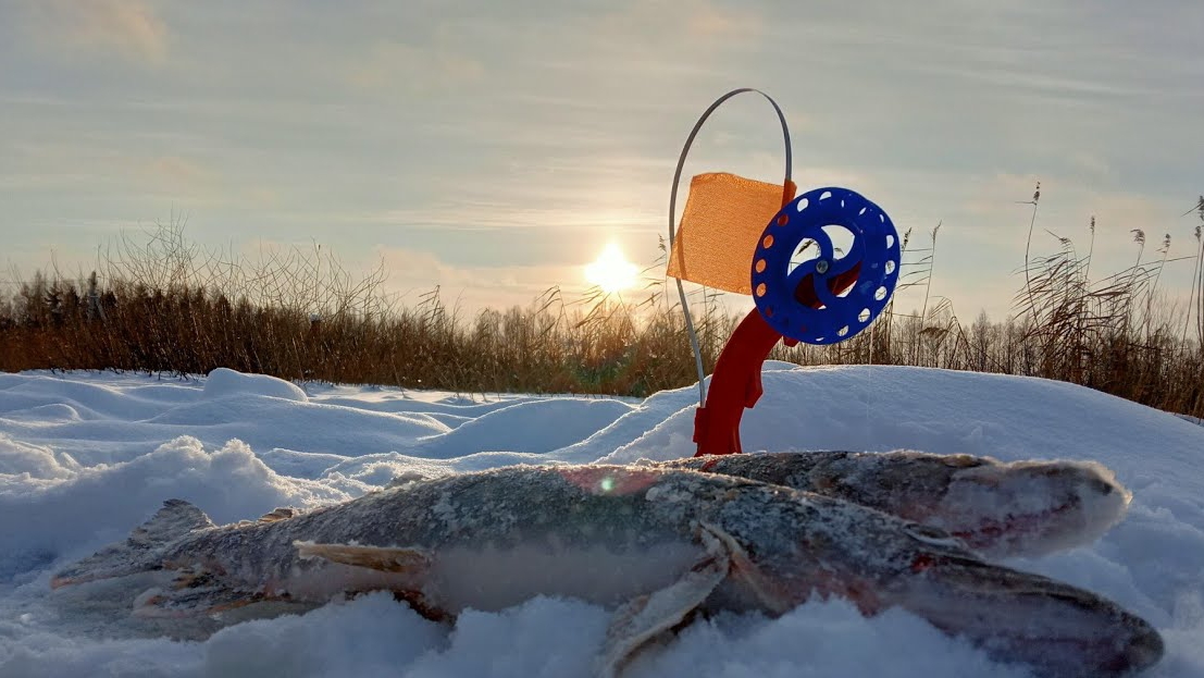 В поисках трофея, грядут морозы, ловим щуку на жерлицы 2023-2024г. смотреть онлайн