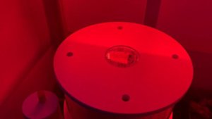 Побывали в Ecoreef. Как устроена фильтрация в аквариумах. И про атмосферу :)