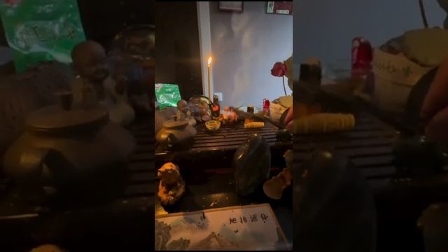 Чайный клуб Cactusstone