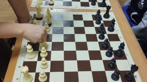 пешки. Игра - пешечный бой с ладьями  и слонами